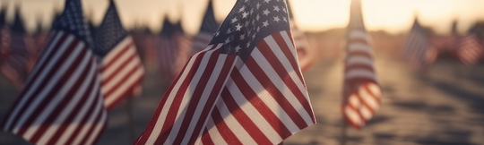 Memorial Day-Honoring American Soldiers Who Died For Our Freedom